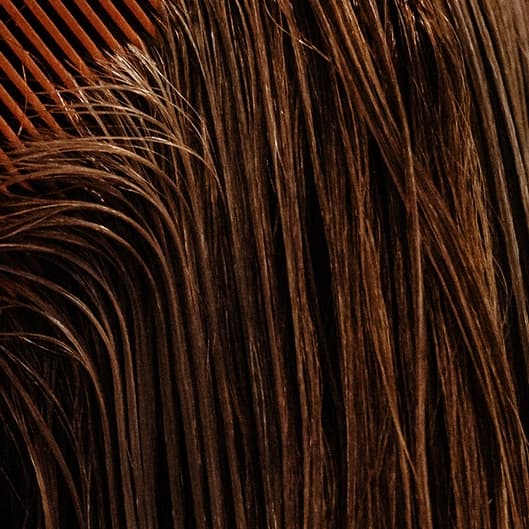 Just roots for a year at Hair by Cin in Phenix Suites/PRETTY LITTLE SALON in Albuquerque, NM